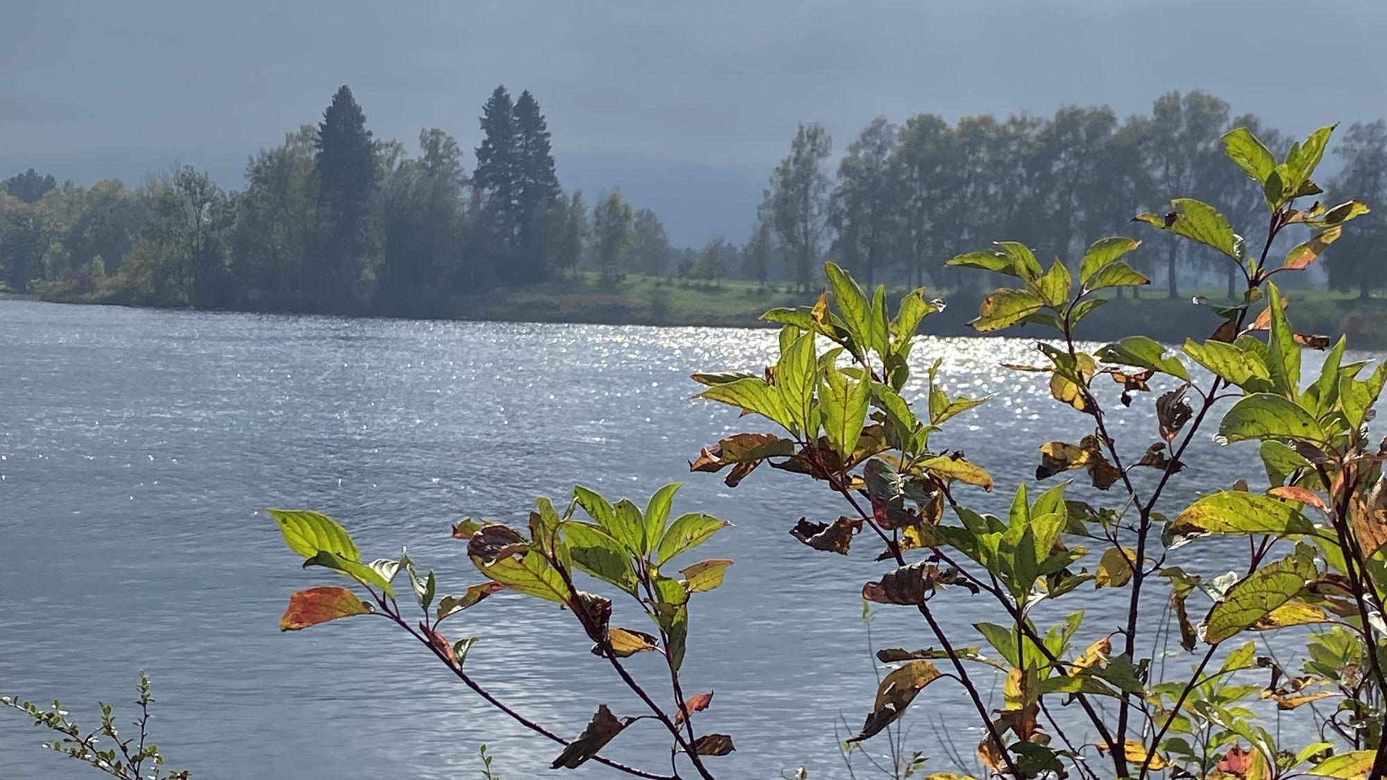 Ausfahrt - Im Biergarten mit Blick über den Staffelsee