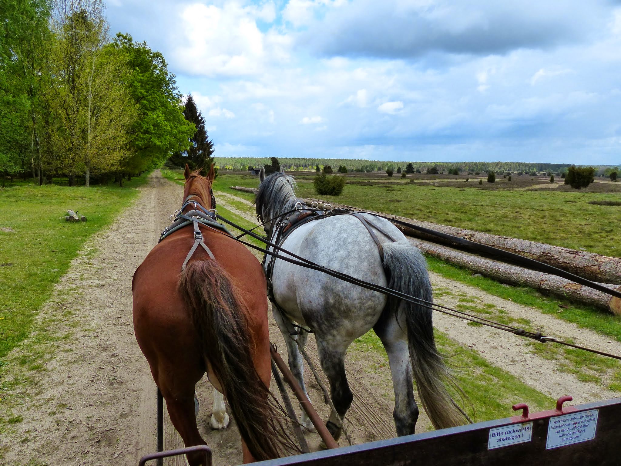 Kuschfahrt in der Lüneburger Heide