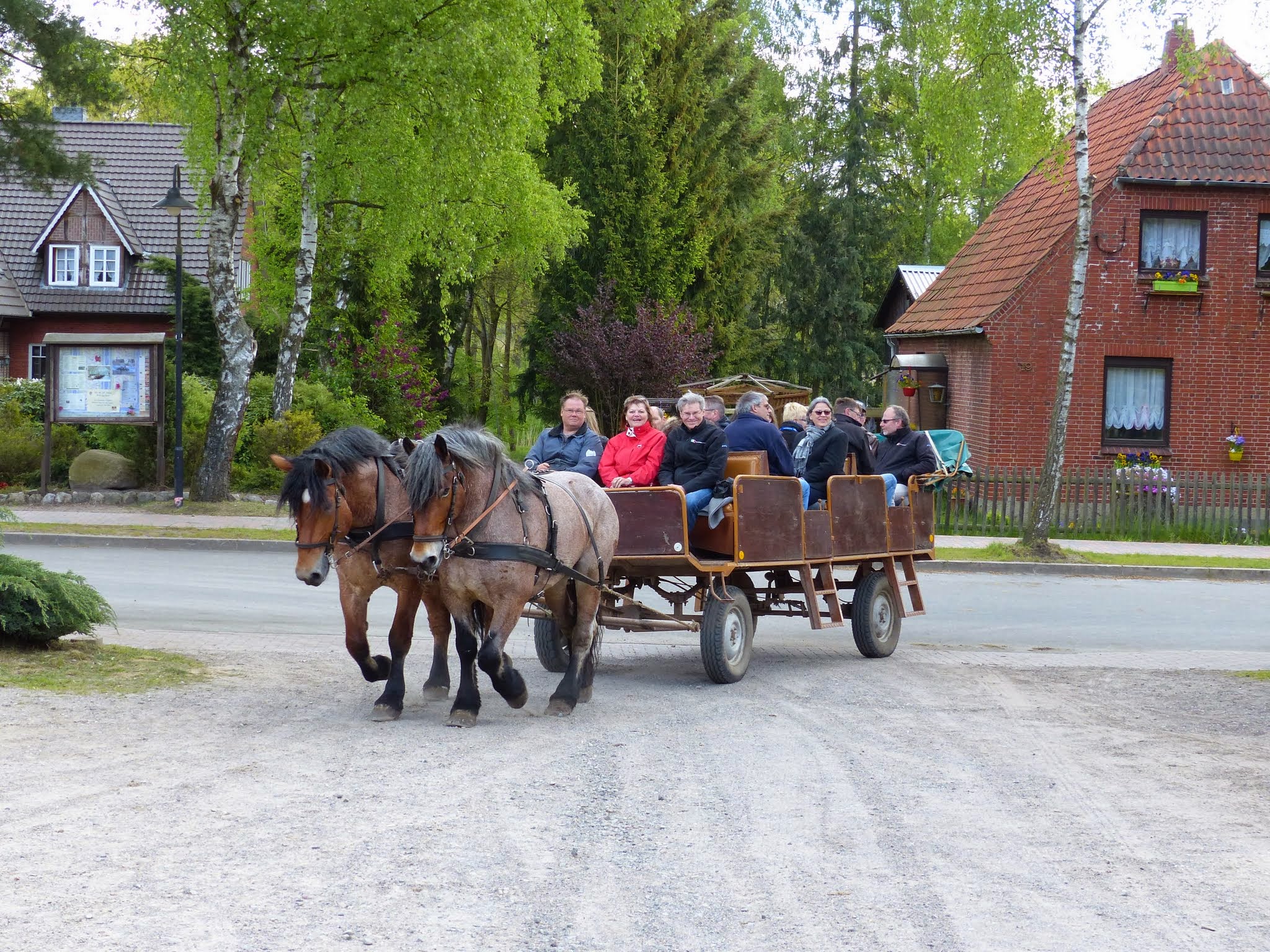 Kuschfahrt in der Lüneburger Heide